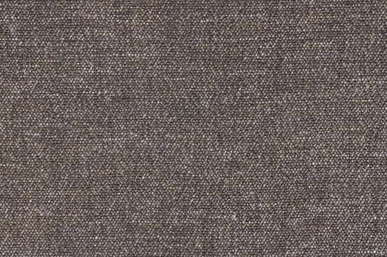 Baran 905 | Upholstery fabrics | Fischbacher 1819