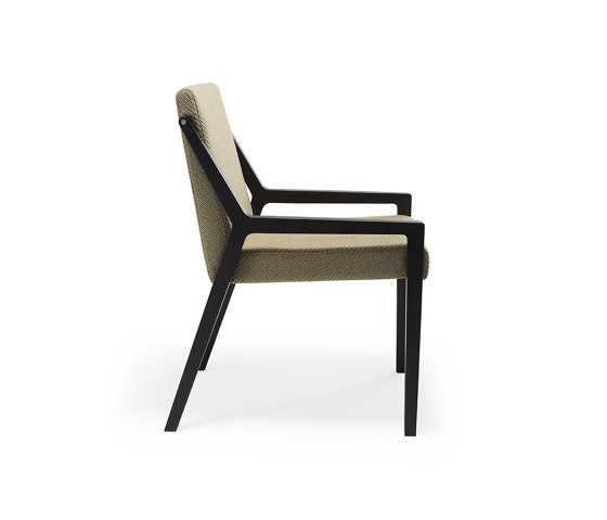 Xenia 2611 SE | Chairs | Cizeta