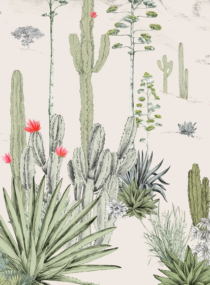 Succulentes Pastel | Wall coverings / wallpapers | ISIDORE LEROY