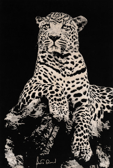 The Leopard | Tappeti / Tappeti design | D.S.V. CARPETS