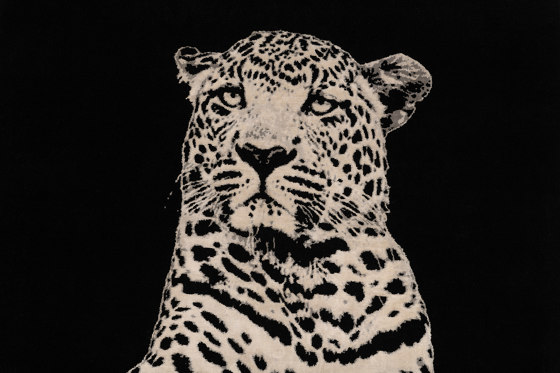 The Leopard | Tappeti / Tappeti design | D.S.V. CARPETS
