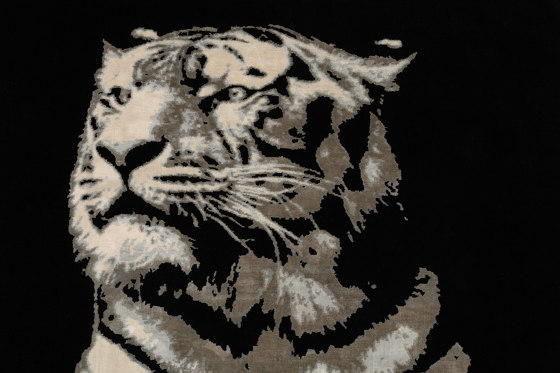 The Tiger | Tappeti / Tappeti design | D.S.V. CARPETS