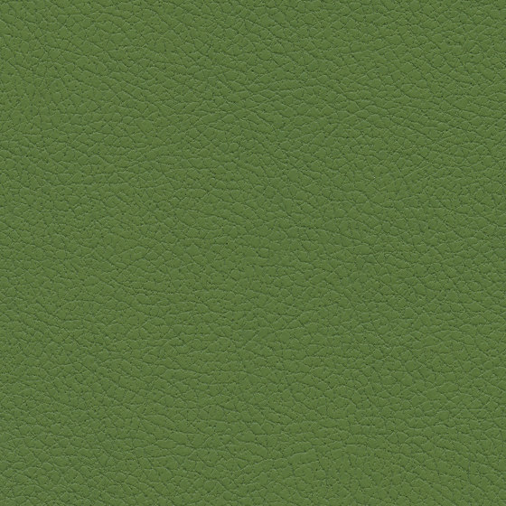 Brisa | Apple Green | Tissus d'ameublement | Ultrafabrics