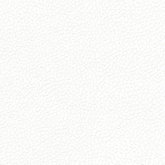 Brisa | White | Tissus d'ameublement | Ultrafabrics