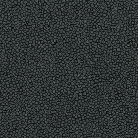 Eco Tech | Komodo | Upholstery fabrics | Ultrafabrics
