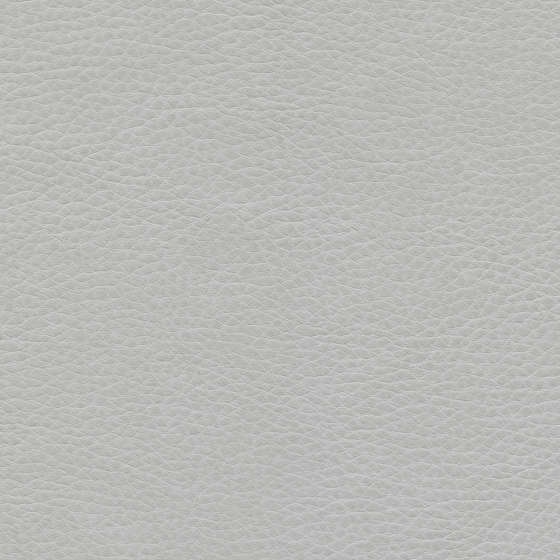 Montage | Silver Ash | Upholstery fabrics | Ultrafabrics