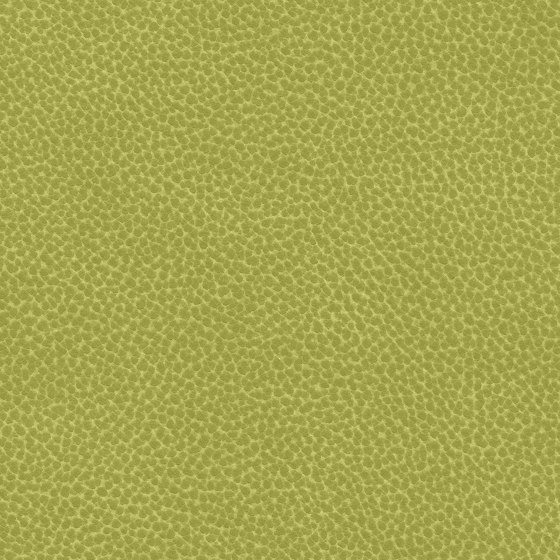 Reef Pro | Seagrass | Tissus d'ameublement | Ultrafabrics