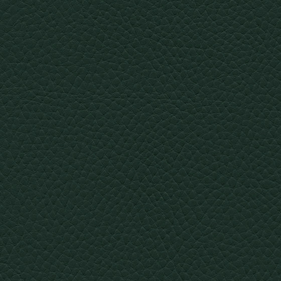 Tottori | Dark Spruce | Tissus d'ameublement | Ultrafabrics