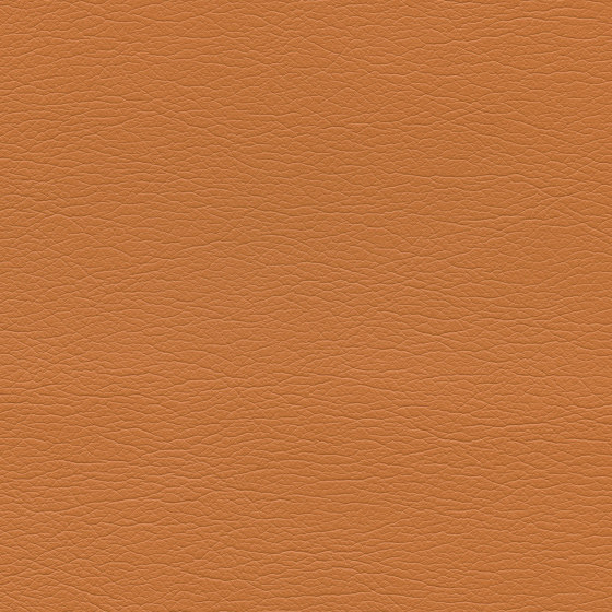 Ultraleather | Apricot | Möbelbezugstoffe | Ultrafabrics