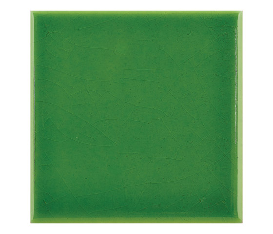10x10 Lucida A50 Verde Prato | Ceramic tiles | Acquario Due