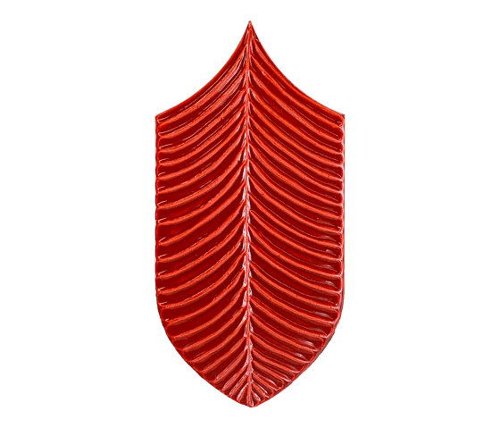 Calathea Lucida A15 Rosso | Piastrelle ceramica | Acquario Due