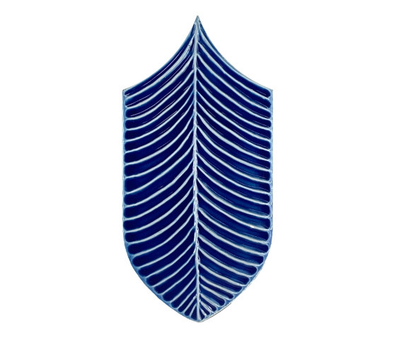 Calathea Lucida A32 Blu Elettrico | Keramik Fliesen | Acquario Due