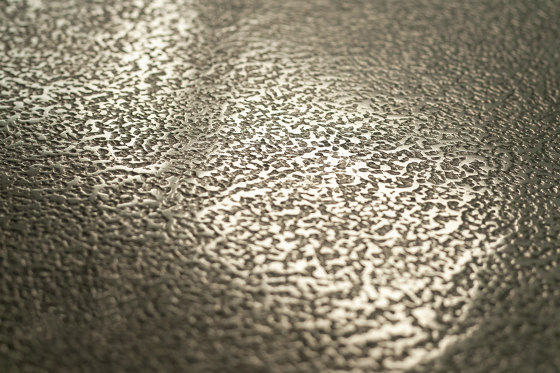 MIDAS Metall Champaign | Artifex 2.1 | Metal surface finishing | Midas Surfaces