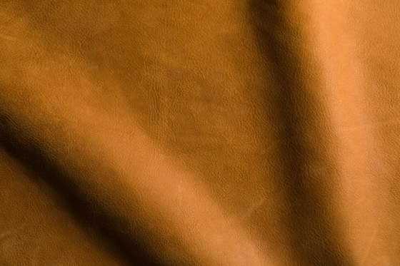 VELLUTO Cognac | Natural leather | Studioart