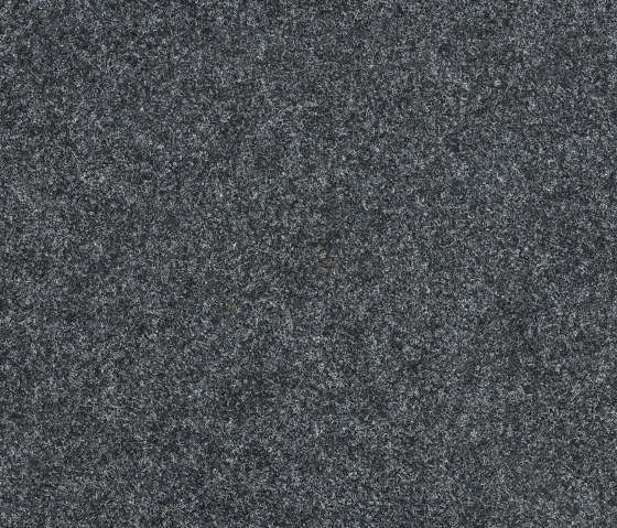 Superflor II 4308003 Raven II | Carpet tiles | Interface
