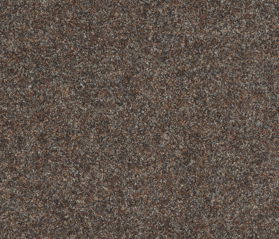 Superflor II 4308005 Buffalo II | Carpet tiles | Interface