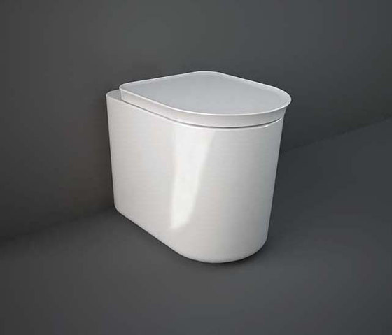 RAK-VALET | Back to wall Water Closet | Alpine White | WCs | RAK Ceramics