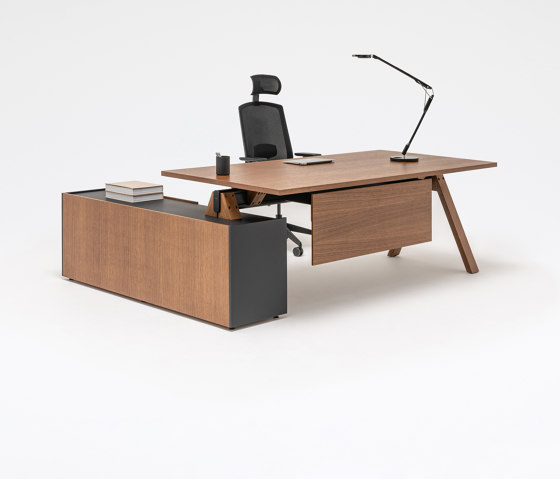 Viga Executive Desk | Desks | MDD