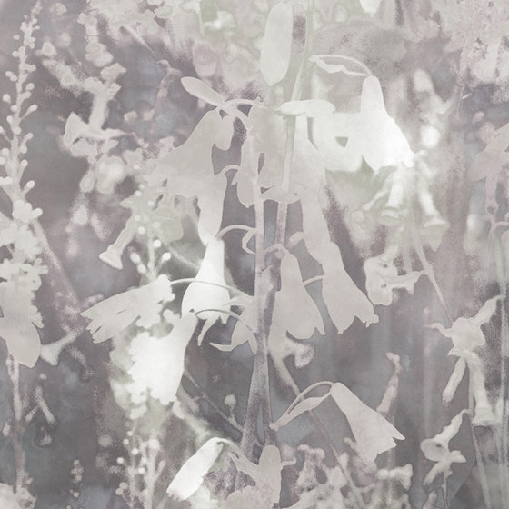 Abstract Meadow - Original | Wall art / Murals | Feathr
