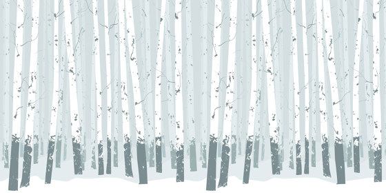 Birch Forest - Blue | Wandbilder / Kunst | Feathr