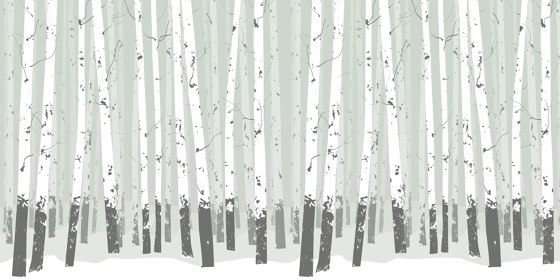 Birch Forest - Green | Wandbilder / Kunst | Feathr
