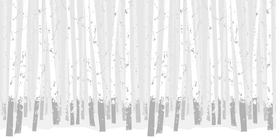 Birch Forest - Grey | Peintures murales / art | Feathr