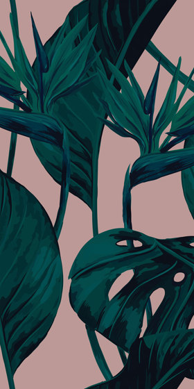 Bird of Paradise - Blush | Revêtements muraux / papiers peint | Feathr