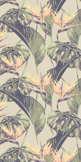 Bird of Paradise - Original | Wall coverings / wallpapers | Feathr
