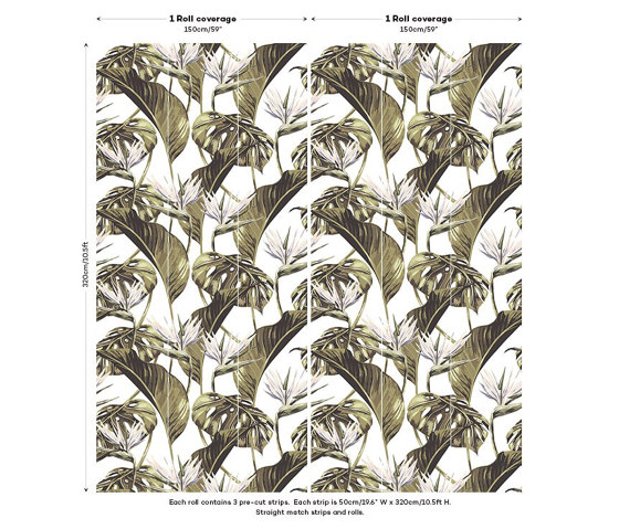 Bird of Paradise - White | Wall coverings / wallpapers | Feathr
