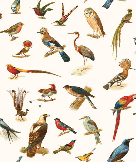 Birds - Original | Revestimientos de paredes / papeles pintados | Feathr
