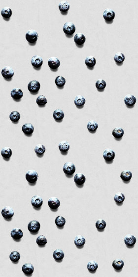 Blueberry - Concrete | Wandbeläge / Tapeten | Feathr
