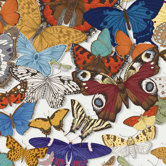 Butterfly Grove - Day | Revestimientos de paredes / papeles pintados | Feathr
