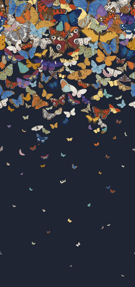 Butterfly Grove - Night | Revestimientos de paredes / papeles pintados | Feathr