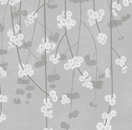 Cherry Blossom - Moonlight | Wandbeläge / Tapeten | Feathr