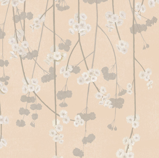 Cherry Blossom - Peach | Revêtements muraux / papiers peint | Feathr
