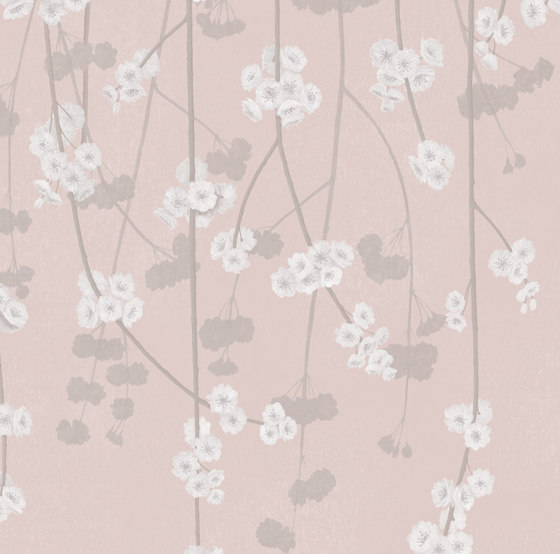 Cherry Blossom - Pink | Revestimientos de paredes / papeles pintados | Feathr