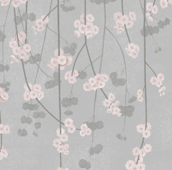 Cherry Blossom - Zen | Revestimientos de paredes / papeles pintados | Feathr