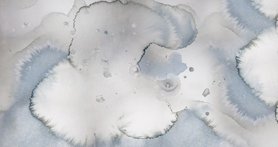 Clouds & Poppies - Blue & White | Wandbilder / Kunst | Feathr