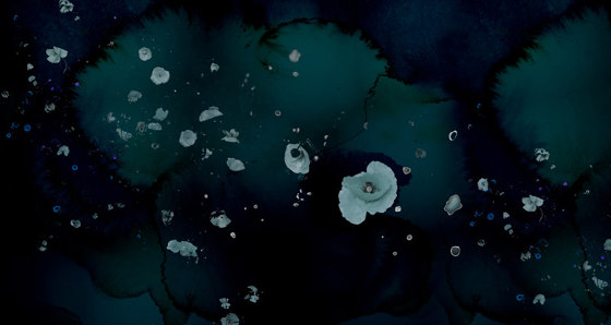 Clouds & Poppies - Dark Teal | Wandbilder / Kunst | Feathr