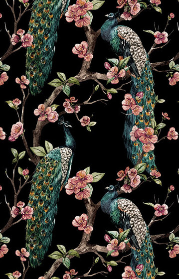 Enchanted Garden - Emerald Green | Wall coverings / wallpapers | Feathr