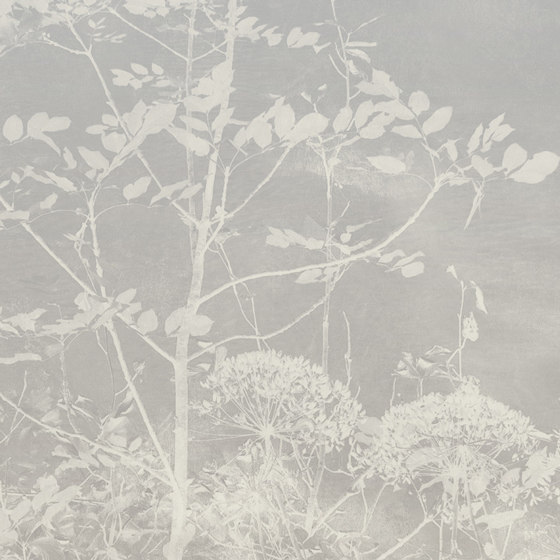Floral Meadow - Cream | Wandbilder / Kunst | Feathr