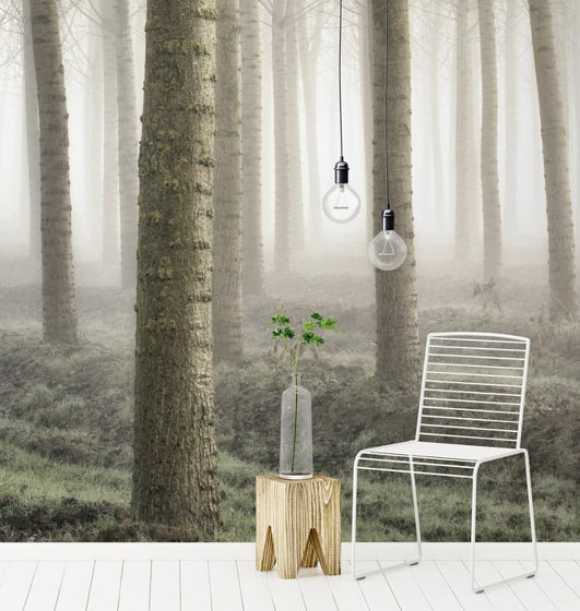 Forest Fog - Original | Wandbilder / Kunst | Feathr