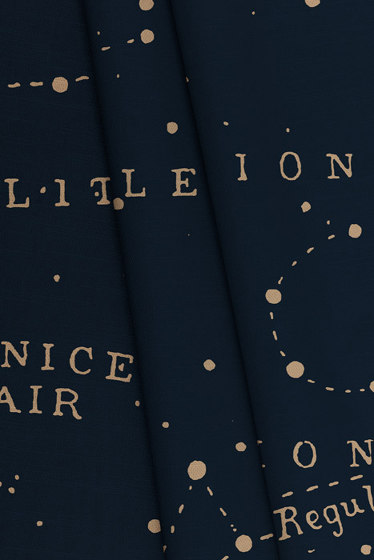 Great Bear Little Lion Fabric - Blue | Tissus de décoration | Feathr