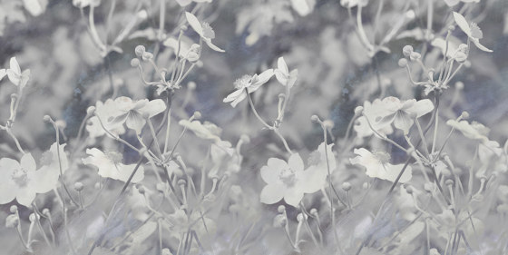 Japanese Anemone - Original | Wandbilder / Kunst | Feathr