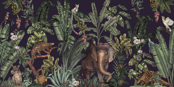 Jungle Kingdom - Space | Wall art / Murals | Feathr