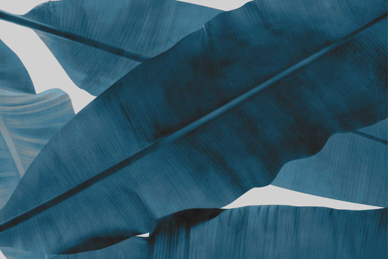 Kirungu - Blue | Wandbilder / Kunst | Feathr