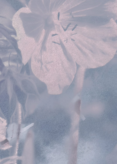 Meadow Geranium Fabric - Pink & Blue | Dekorstoffe | Feathr