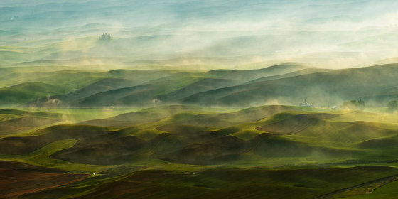 Misty Farmland - Original | Arte | Feathr