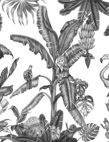 Monkeys with Birds - Monochrome | Quadri / Murales | Feathr
