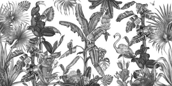 Monkeys with Birds - Monochrome | Wandbilder / Kunst | Feathr